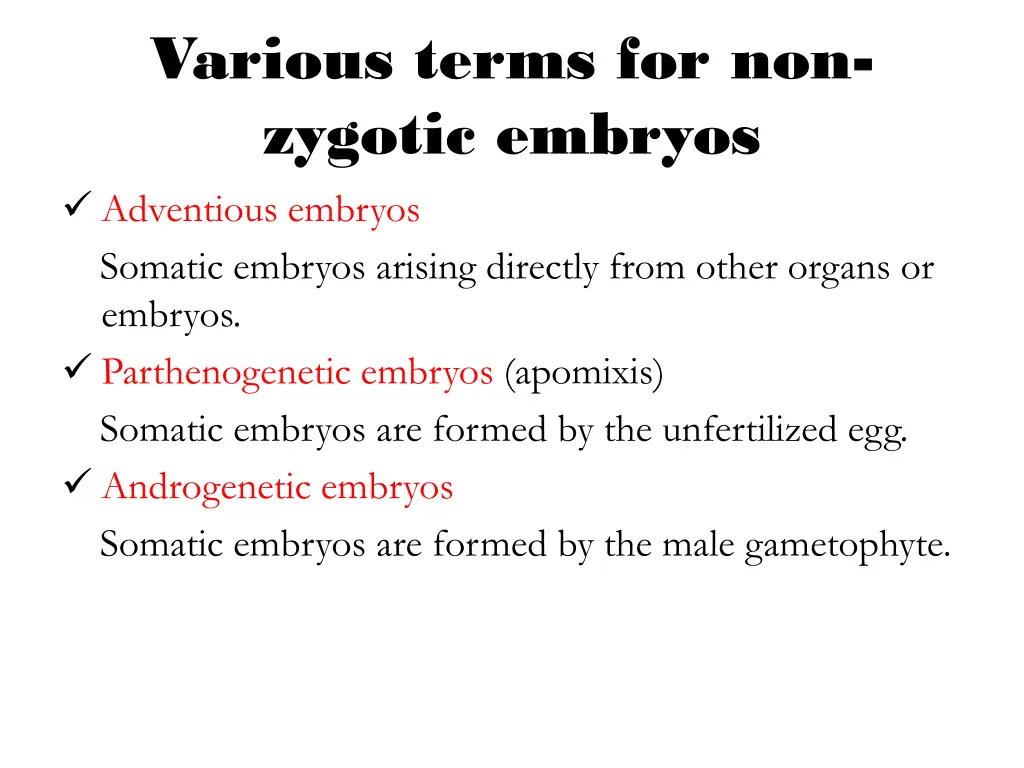 various terms for non zygotic embryos adventious