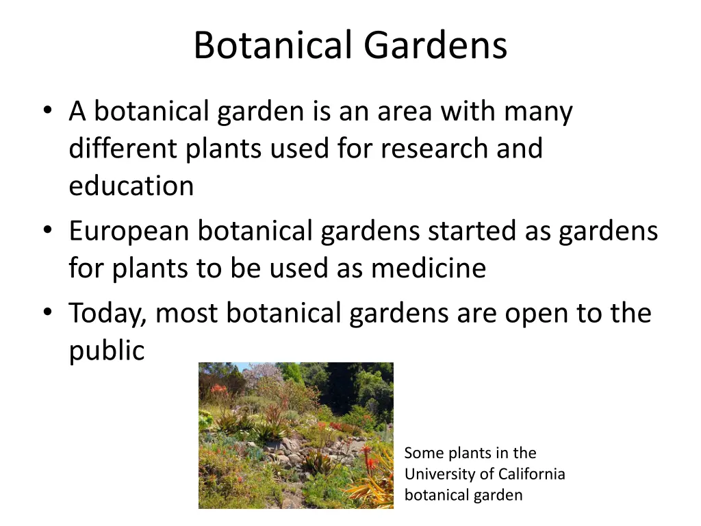 botanical gardens