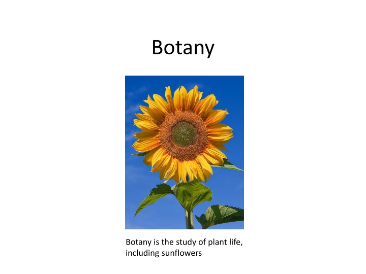 botany