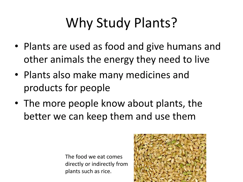 why study plants