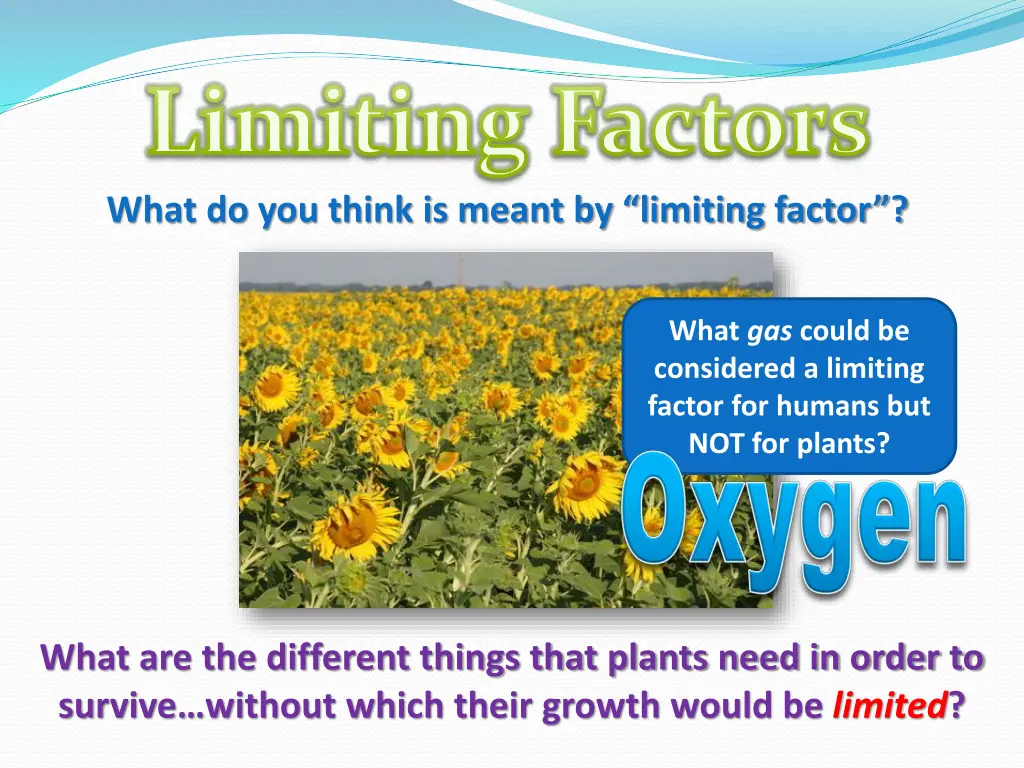 limiting factors what do you think is meant