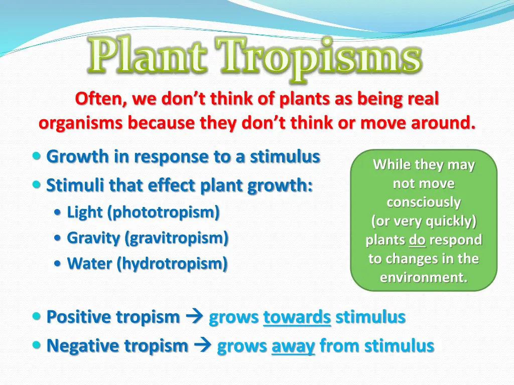 plant tropisms often we don t think of plants