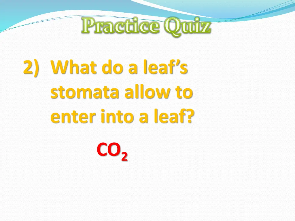 practice quiz 11