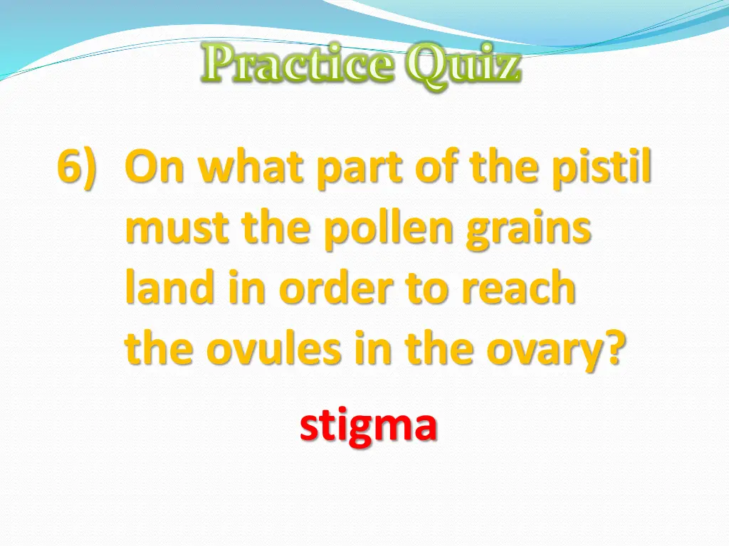 practice quiz 15