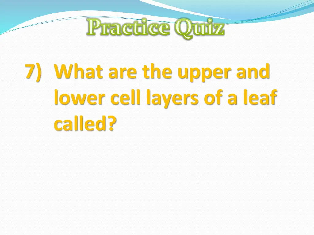 practice quiz 6