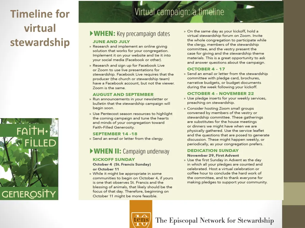 timeline for virtual stewardship