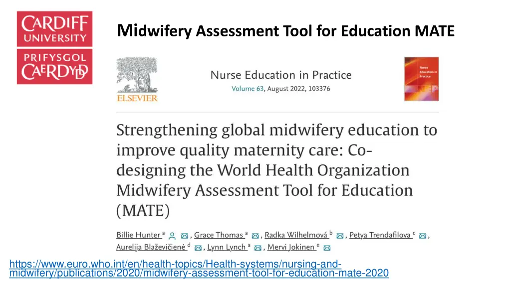 mi dwifery assessment tool for education mate