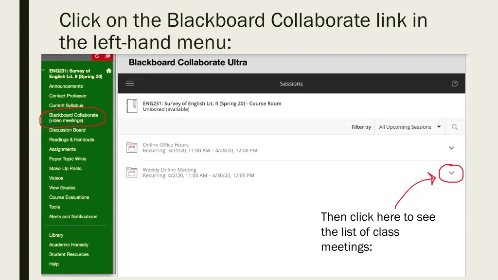 click on the blackboard collaborate link