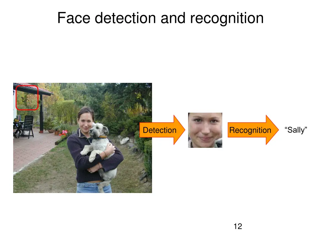 face detection and recognition