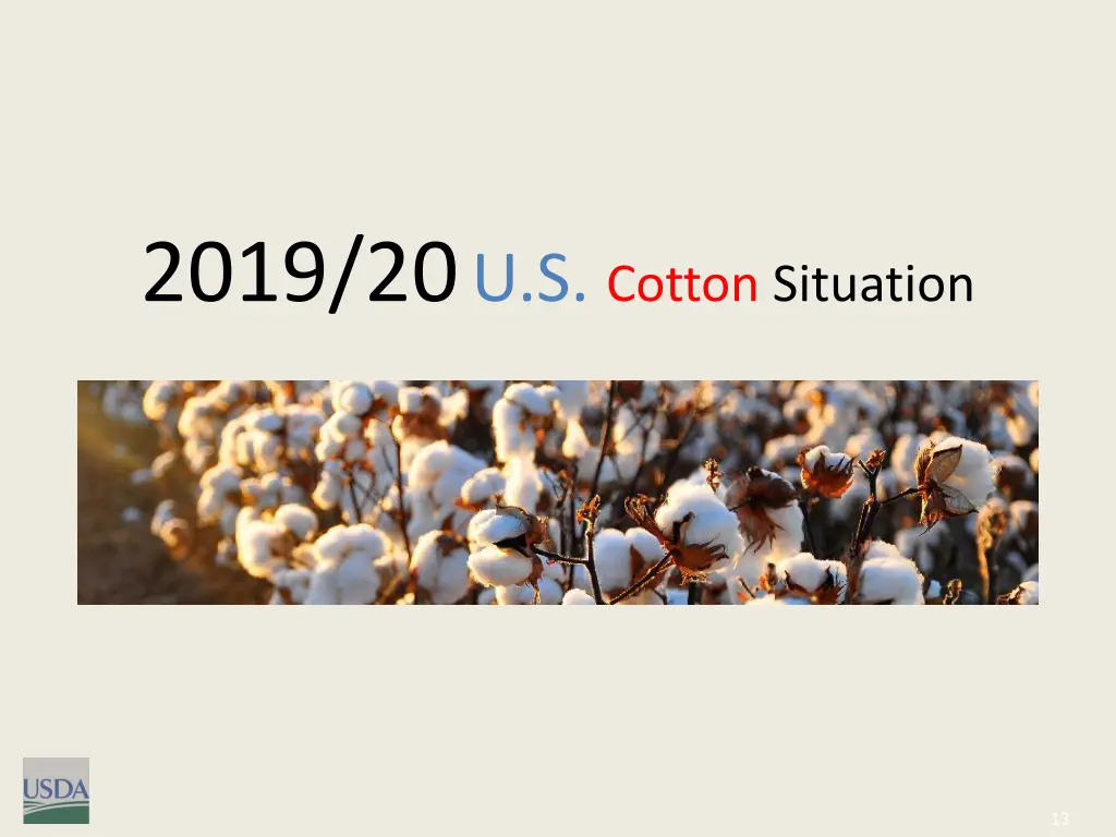 2019 20 u s cotton situation