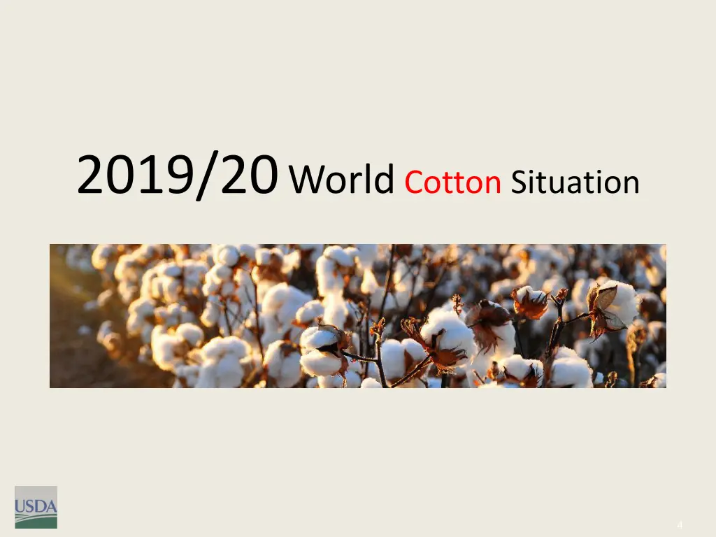 2019 20 world cotton situation