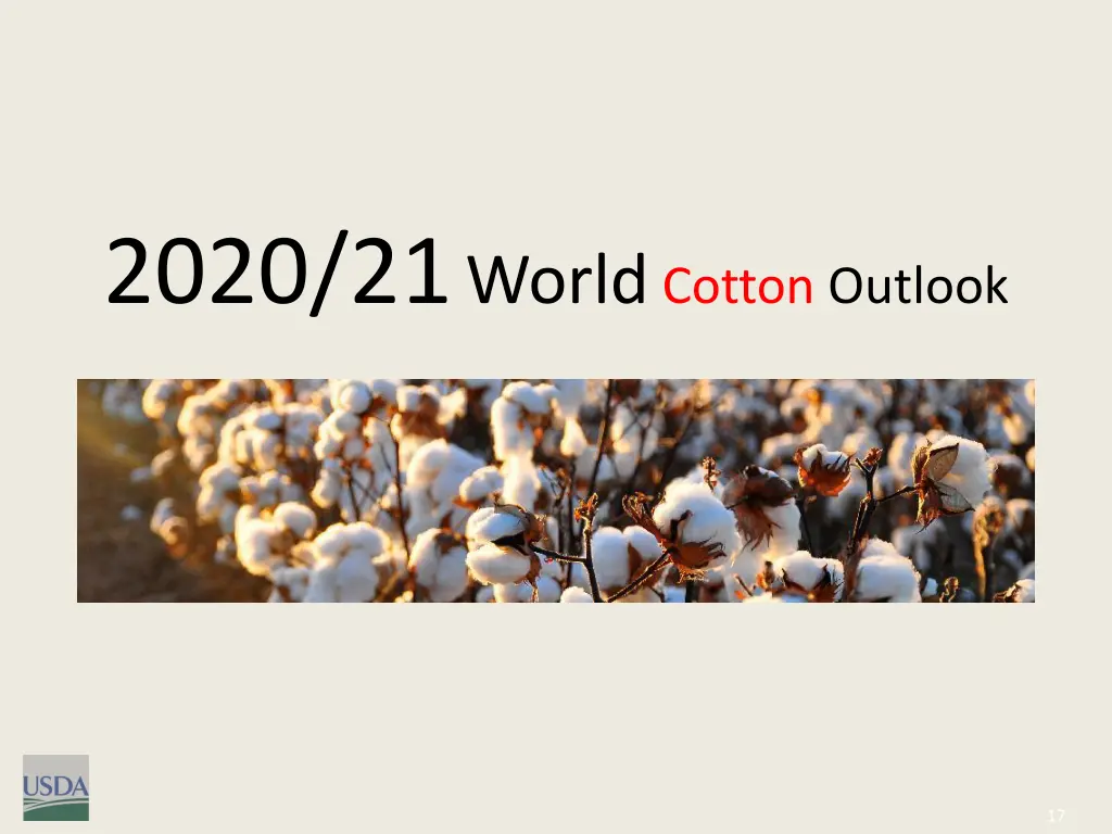 2020 21 world cotton outlook