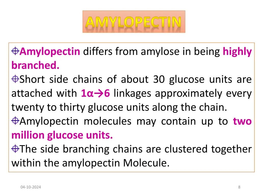 amylopectin