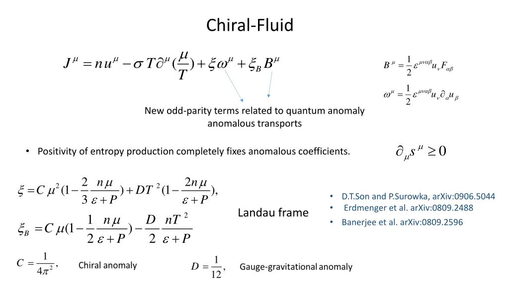 chiral fluid