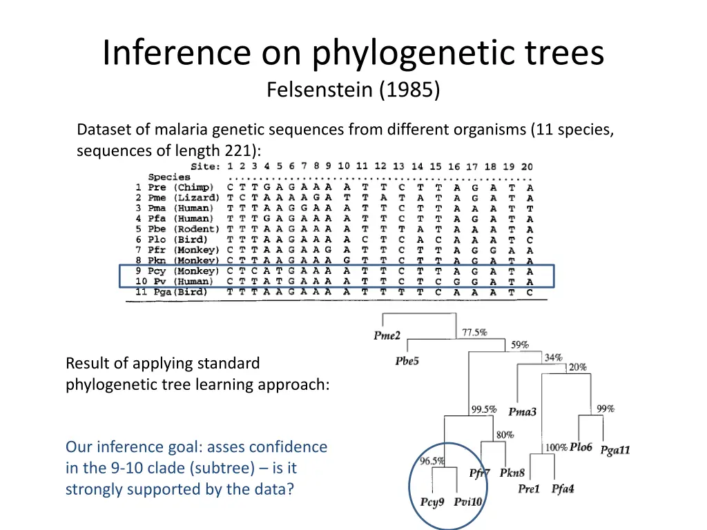 inference on phylogenetic trees felsenstein 1985