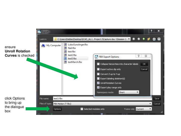 ensure unroll rotation curves is checked