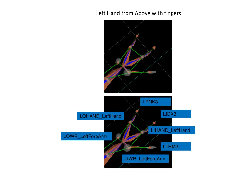 left hand from above with fingers