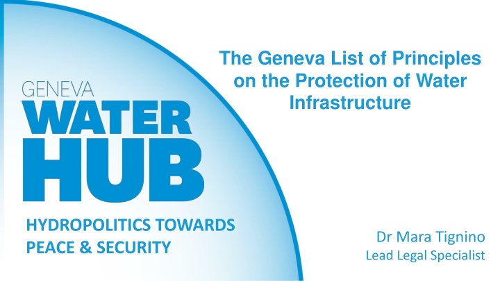 the geneva list of principles on the protection