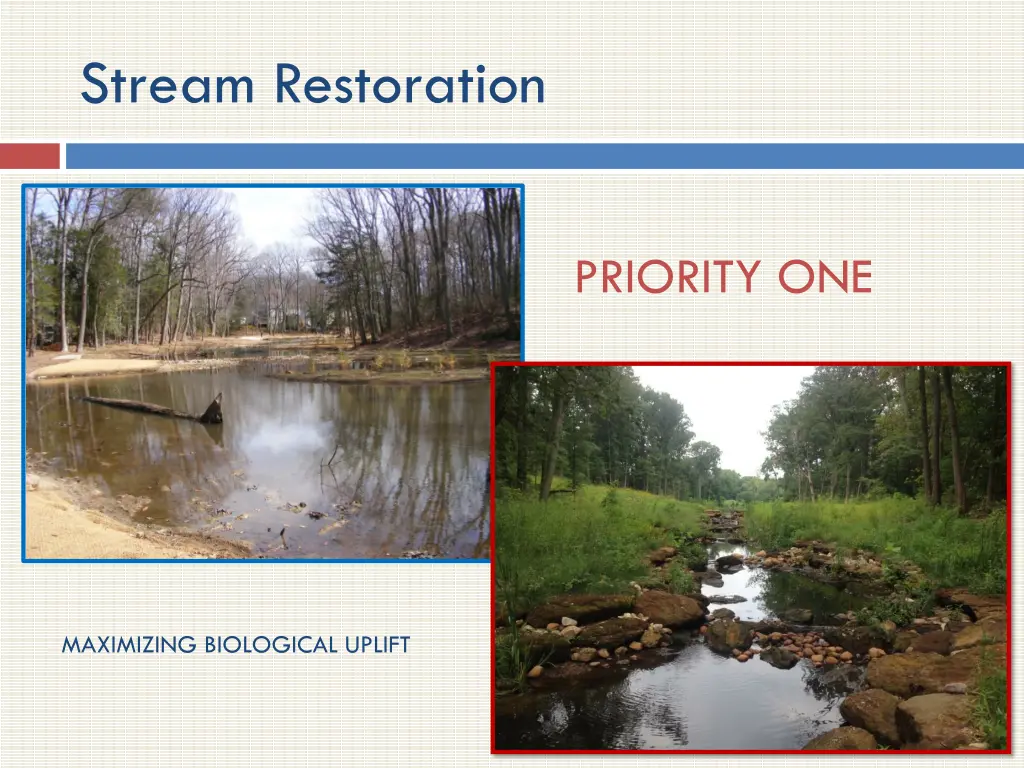 stream restoration