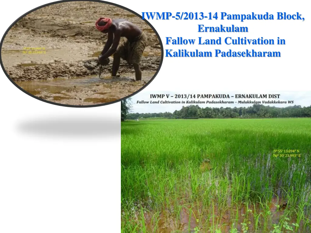 iwmp 5 2013 14 pampakuda block ernakulam fallow