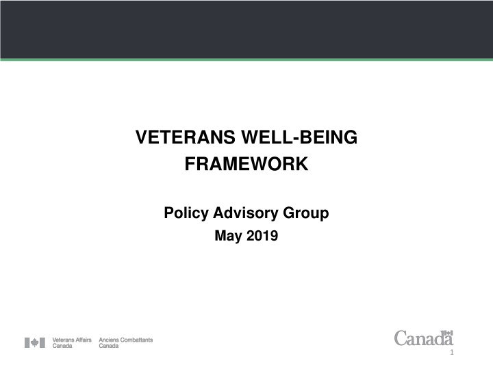 veterans well being framework