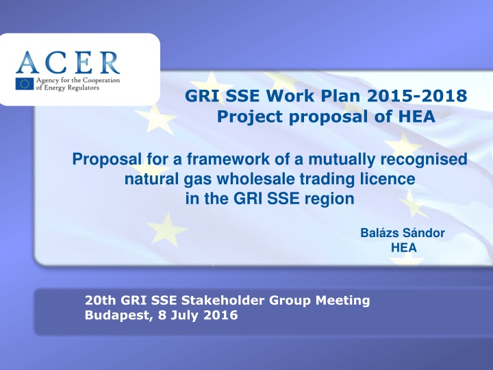 gri sse work plan 2015 2018 project proposal