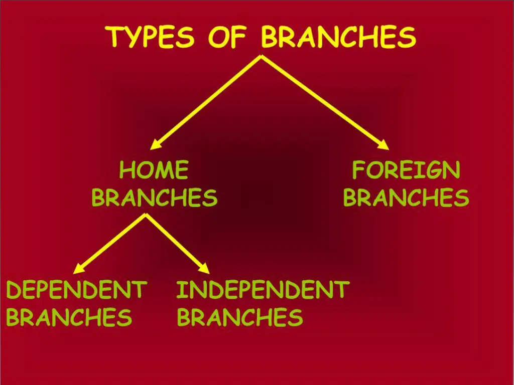 types of branches