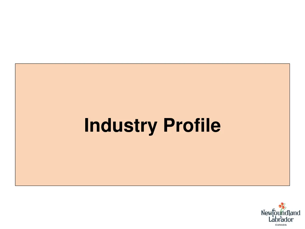 industry profile