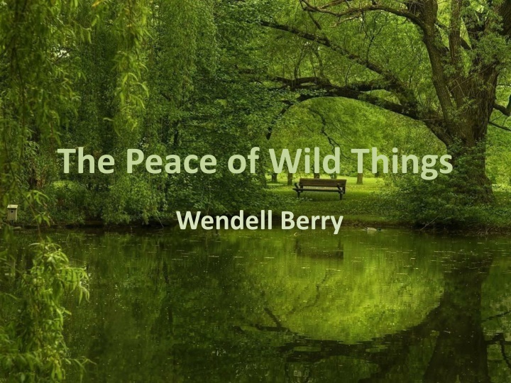 the peace of wild things