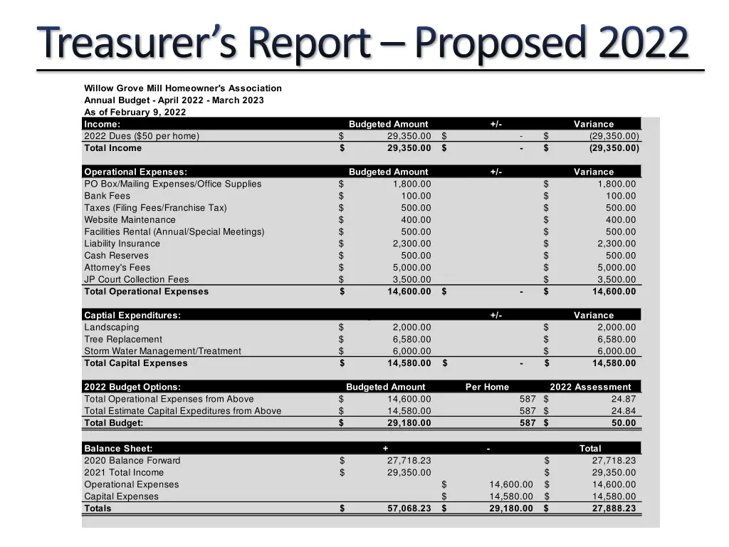 treasurer s report proposed 2022