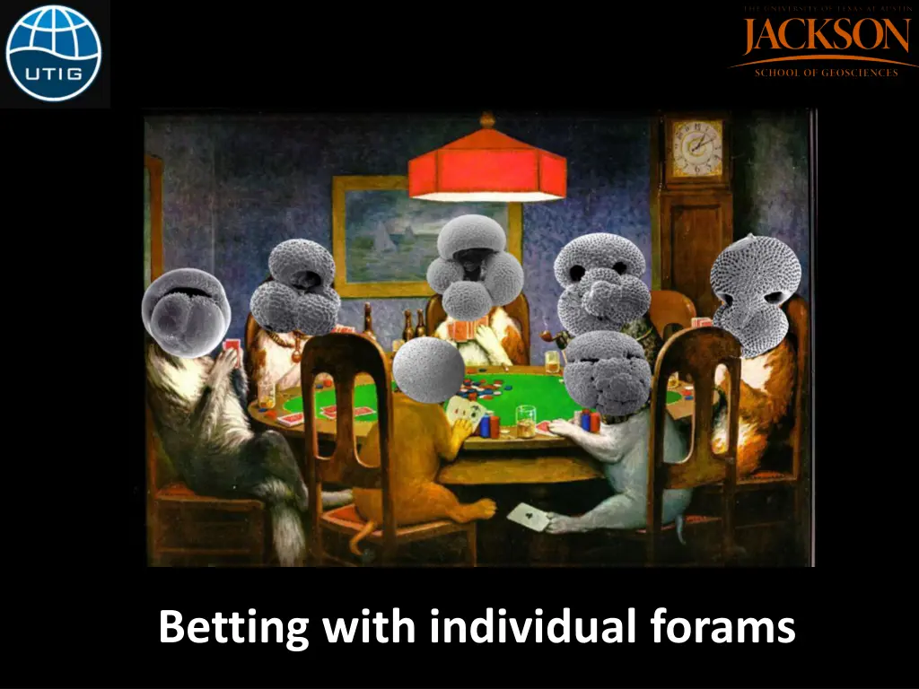 betting with individual forams