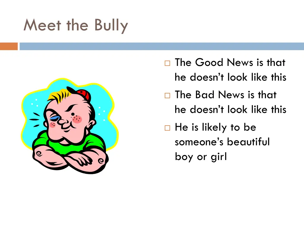 meet the bully