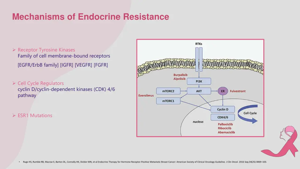 mechanisms of endocrine resistance