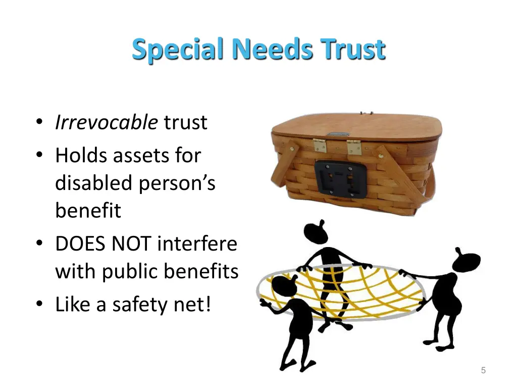 special needs trust