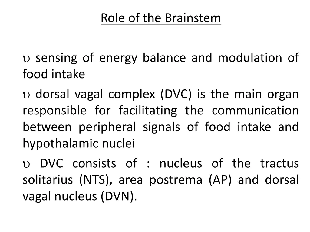 role of the brainstem