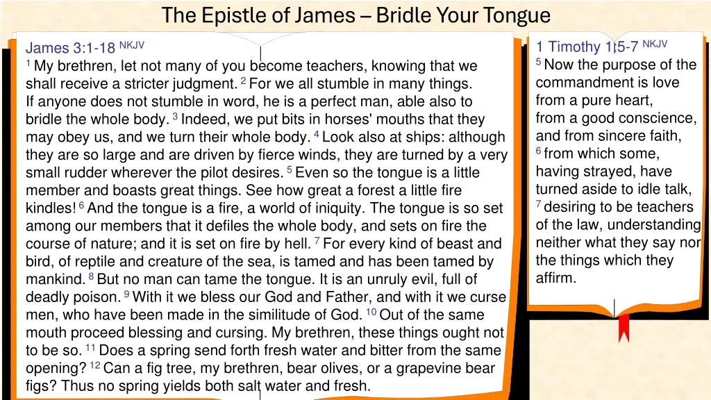 the epistle of james bridle your tongue 8