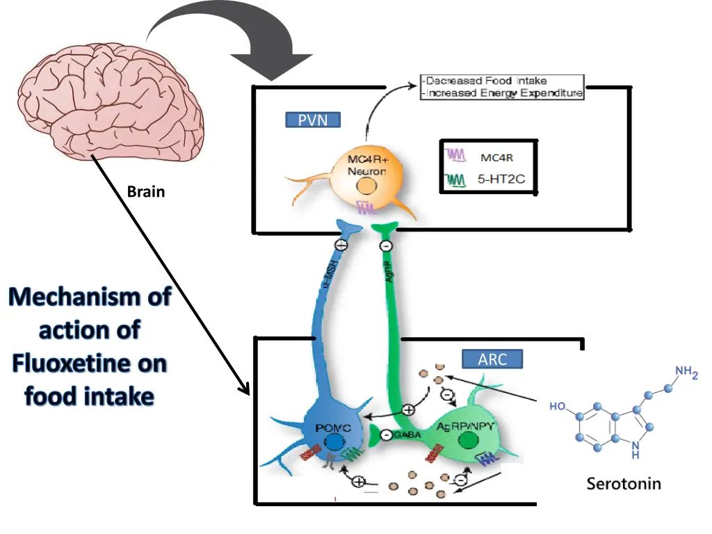 slide24