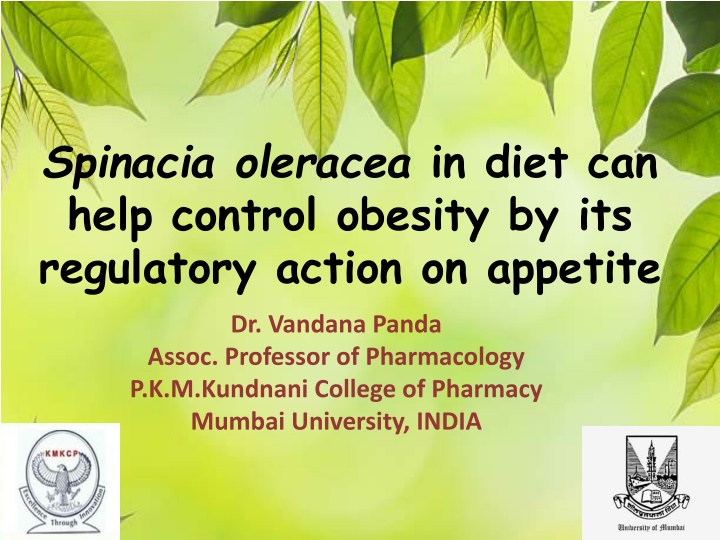 spinacia oleracea in diet can help control