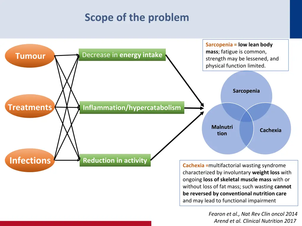 scope of the problem