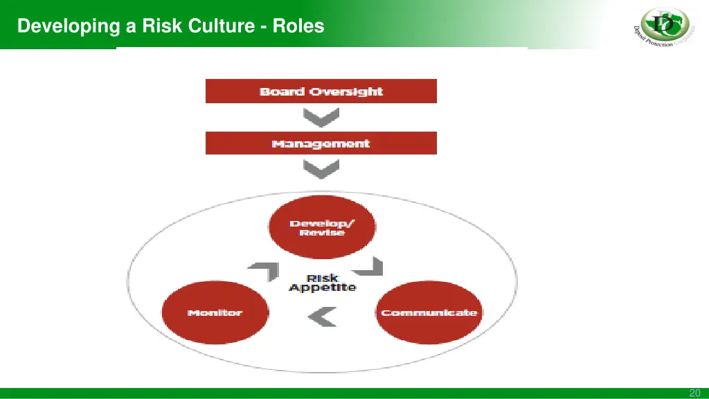 developing a risk culture roles