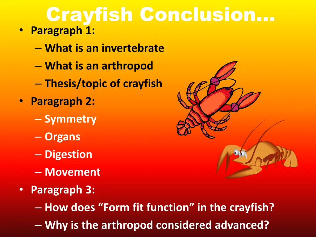 crayfish conclusion