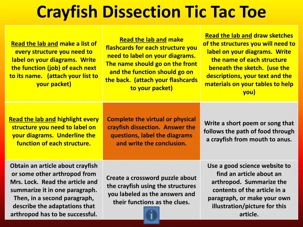 crayfish dissection tic tac toe 1