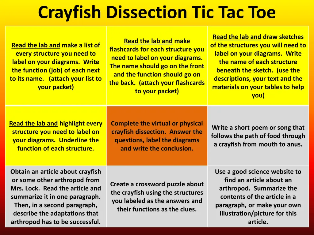 crayfish dissection tic tac toe