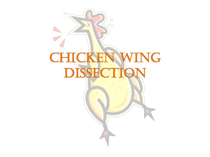 chicken wing chicken wing dissection dissection