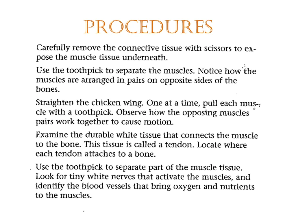 procedures