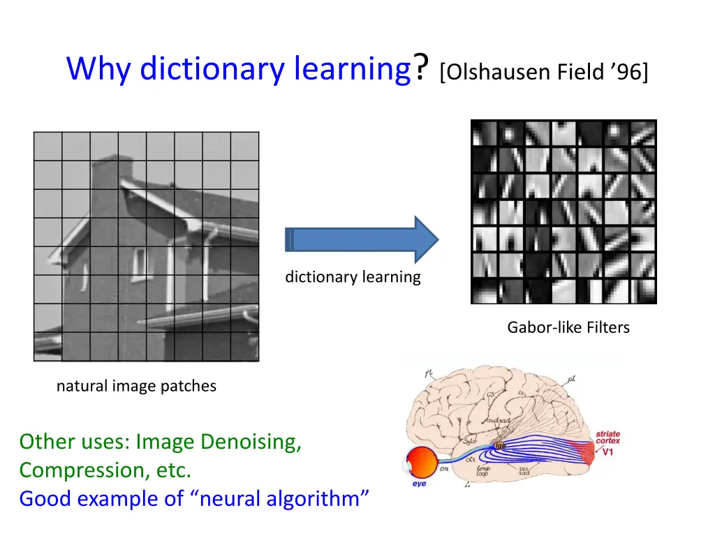 why dictionary learning olshausen field 96