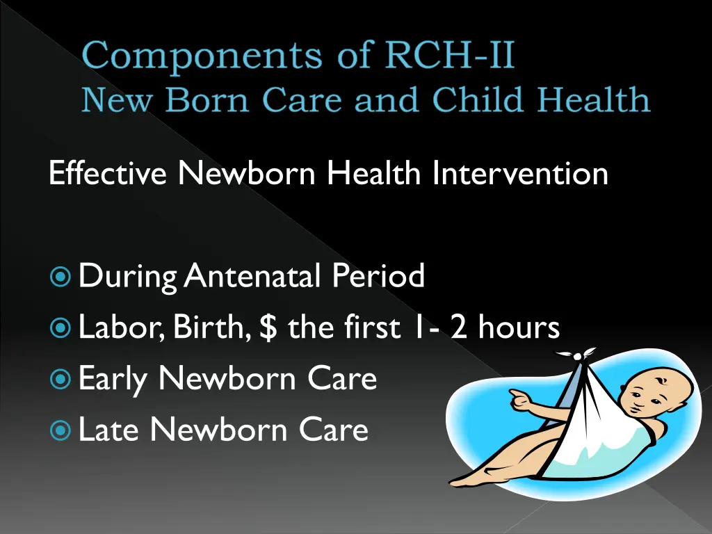 components of rch ii new born care and child