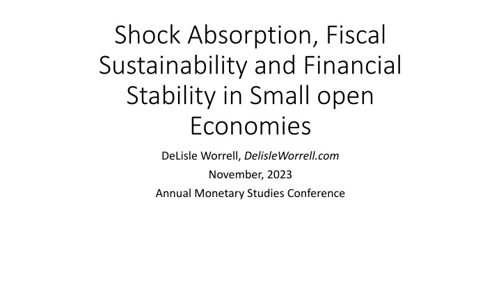 shock absorption fiscal sustainability