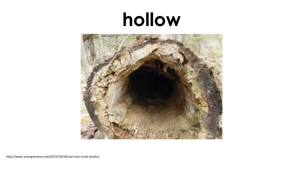 hollow