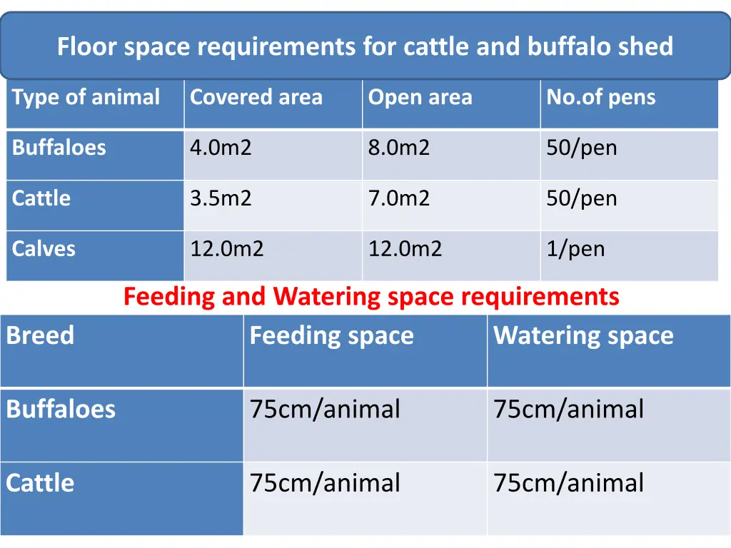 floor space requirements for cattle and buffalo